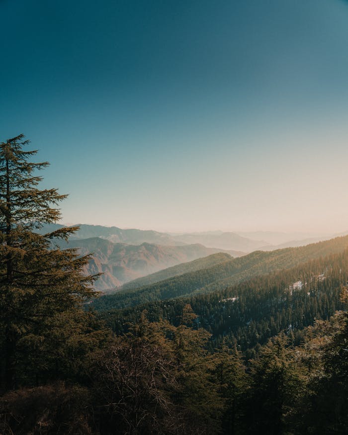 Green Trees On Mountain Under Blue Sky